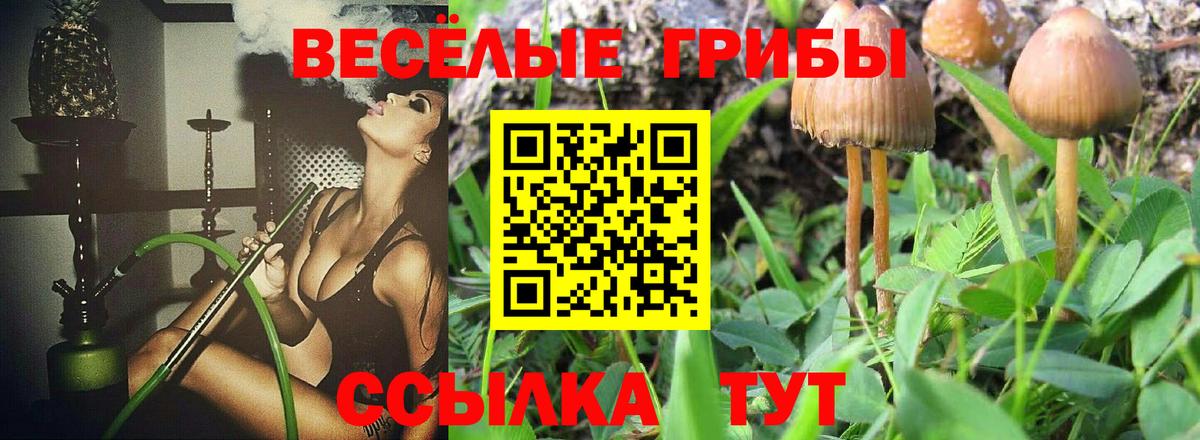 Галлюциногенные грибы Psilocybine cubensis  Псилоцибиновые грибы Psilocybine cubensis  Вход с VPN  Кириши 